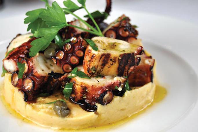 Appresentation suggestion of Grilled Octopus