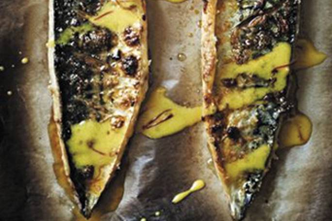 Appresentation suggestion of Grilled Mackerel with Sicilian Caper Tomato Sauce