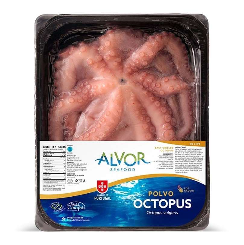 Photo of Octopus