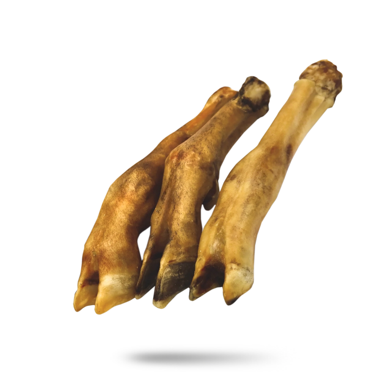 Photo of Burnt feet / Burnt goat