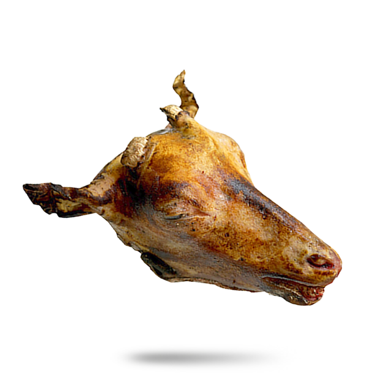 Photo of Burnt Goat Head