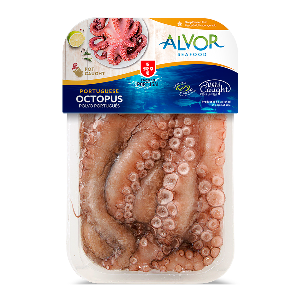 Photo of Portuguese Octopus