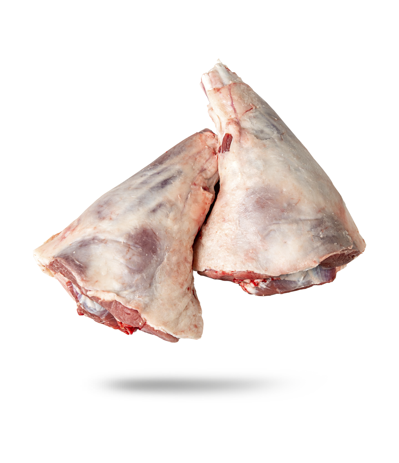 Photo of Hindshanks